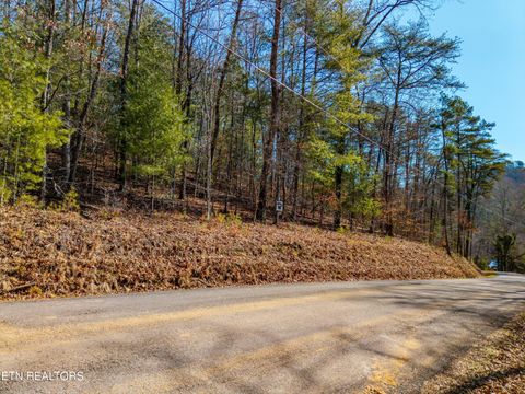 Tiny photo for 000 Towee Falls Road, Tellico Plains, TN 37385 (MLS # 1326607)