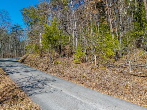 Tiny photo for 000 Towee Falls Road, Tellico Plains, TN 37385 (MLS # 1326607)
