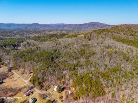 Tiny photo for 000 Towee Falls Road, Tellico Plains, TN 37385 (MLS # 1326607)