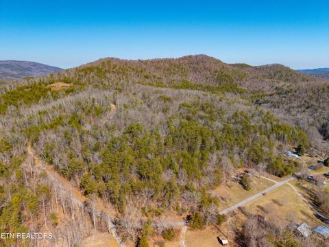 Tiny photo for 000 Towee Falls Road, Tellico Plains, TN 37385 (MLS # 1326607)
