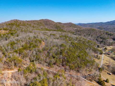 Tiny photo for 000 Towee Falls Road, Tellico Plains, TN 37385 (MLS # 1326607)