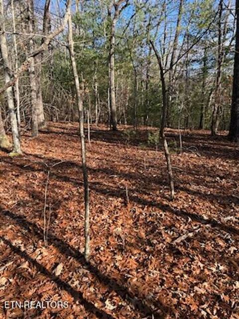 Tiny photo for 000 Towee Falls Road, Tellico Plains, TN 37385 (MLS # 1326607)