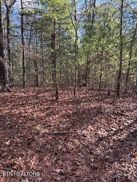 Tiny photo for 000 Towee Falls Road, Tellico Plains, TN 37385 (MLS # 1326607)