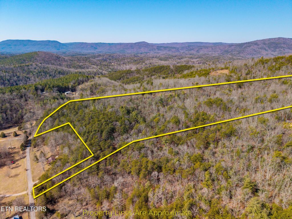 Photo of 000 Towee Falls Road, Tellico Plains, TN 37385 (MLS # 1326607)