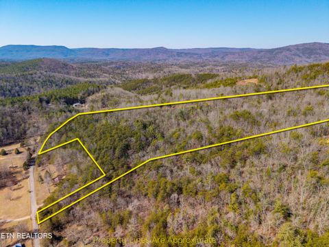 Tiny photo for 000 Towee Falls Road, Tellico Plains, TN 37385 (MLS # 1326607)