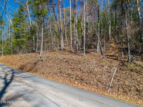 Tiny photo for 000 Towee Falls Road, Tellico Plains, TN 37385 (MLS # 1326607)