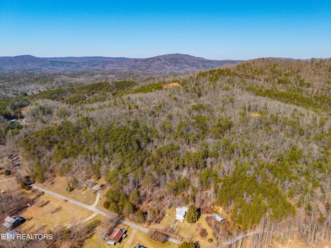 Tiny photo for 000 Towee Falls Road, Tellico Plains, TN 37385 (MLS # 1326607)
