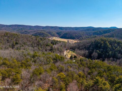 Tiny photo for 000 Towee Falls Road, Tellico Plains, TN 37385 (MLS # 1326607)