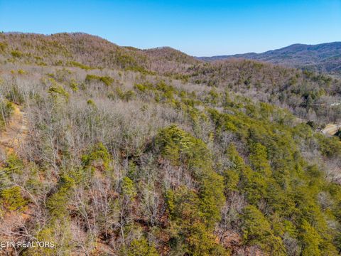 Tiny photo for 000 Towee Falls Road, Tellico Plains, TN 37385 (MLS # 1326607)