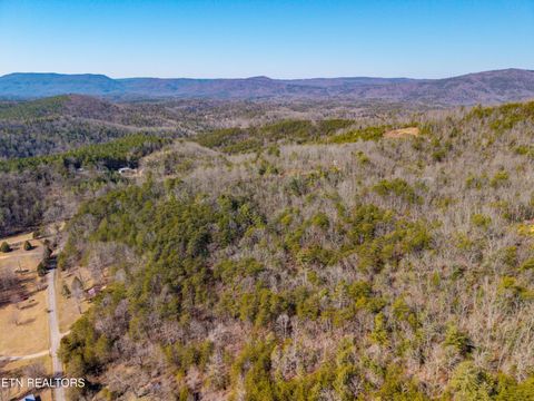Tiny photo for 000 Towee Falls Road, Tellico Plains, TN 37385 (MLS # 1326607)