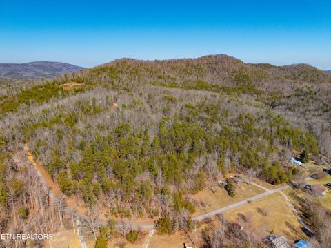 Tiny photo for 000 Towee Falls Road, Tellico Plains, TN 37385 (MLS # 1326607)
