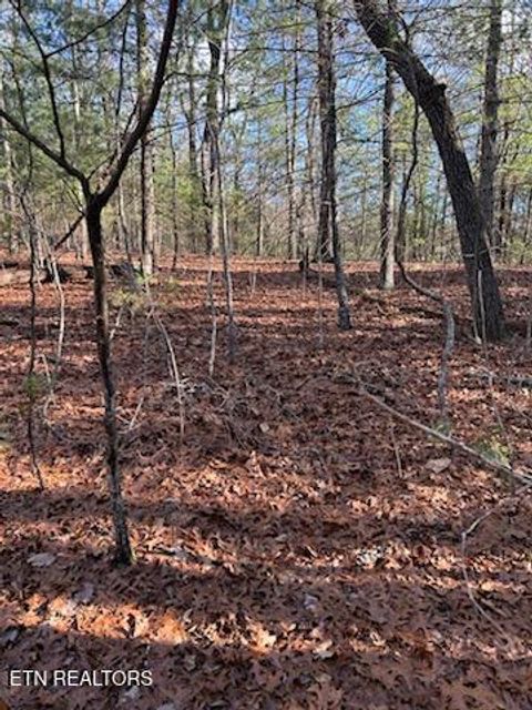 Tiny photo for 000 Towee Falls Road, Tellico Plains, TN 37385 (MLS # 1326607)