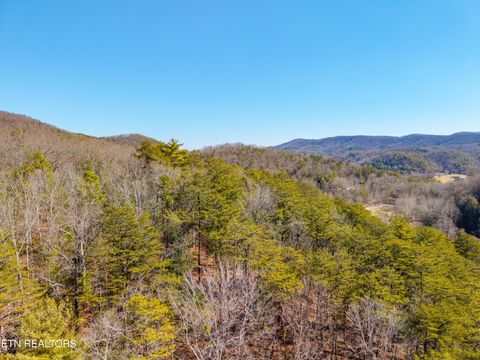 Tiny photo for 000 Towee Falls Road, Tellico Plains, TN 37385 (MLS # 1326607)