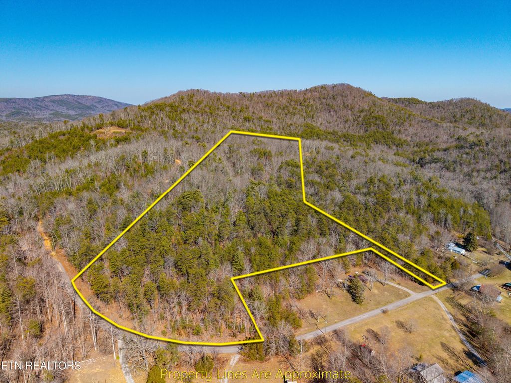 Photo of 000 Towee Falls Road, Tellico Plains, TN 37385 (MLS # 1326607)