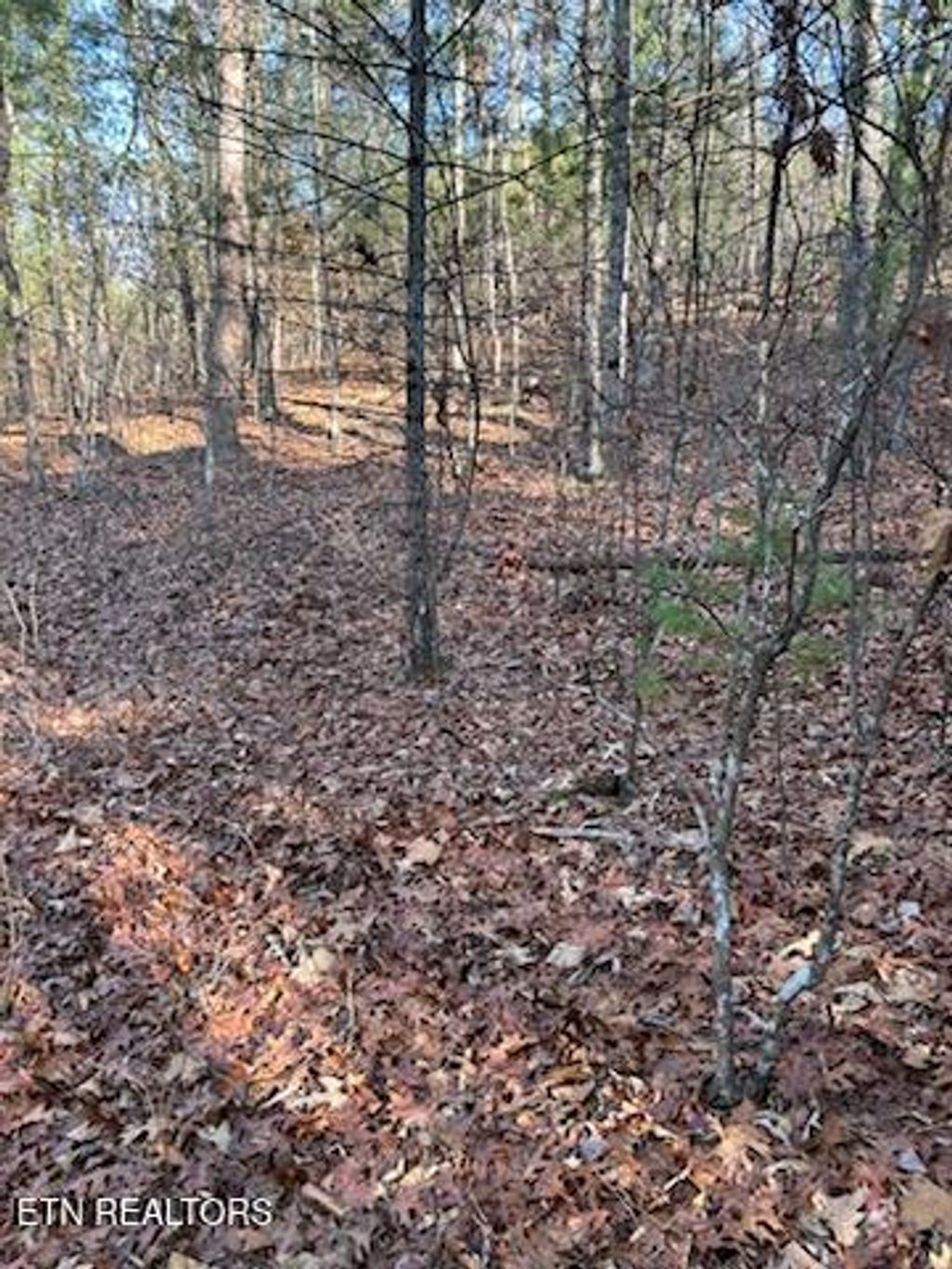 Photo of 000 Towee Falls Road, Tellico Plains, TN 37385 (MLS # 1326607)