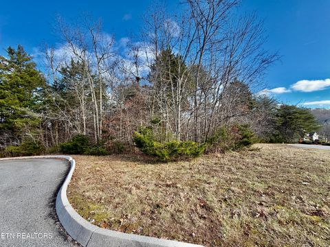 Tiny photo for DIVOT Place, Tazewell, TN 37879 (MLS # 1323315)