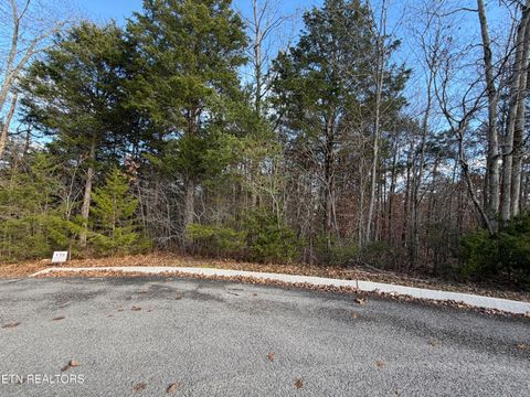 Tiny photo for DIVOT Place, Tazewell, TN 37879 (MLS # 1323315)