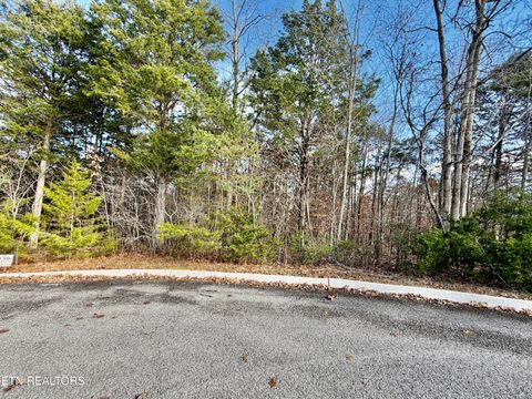 Tiny photo for DIVOT Place, Tazewell, TN 37879 (MLS # 1323315)