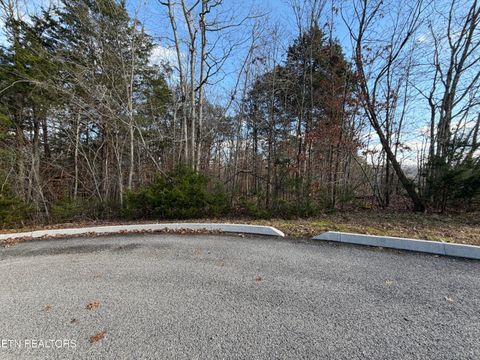 Tiny photo for DIVOT Place, Tazewell, TN 37879 (MLS # 1323315)