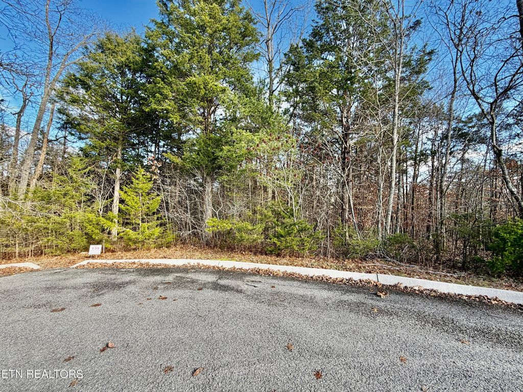 Photo of DIVOT Place, Tazewell, TN 37879 (MLS # 1323315)
