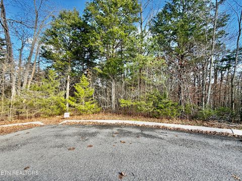 Tiny photo for DIVOT Place, Tazewell, TN 37879 (MLS # 1323315)
