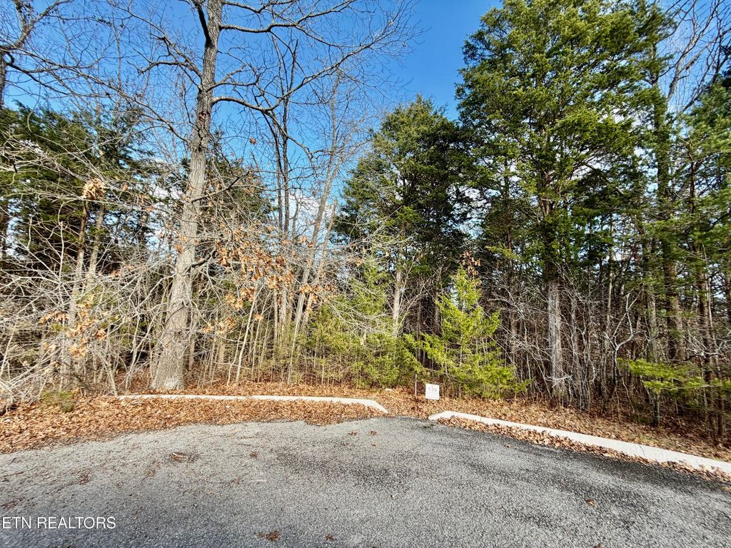 Photo of DIVOT Place, Tazewell, TN 37879 (MLS # 1323315)