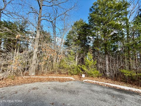 Tiny photo for DIVOT Place, Tazewell, TN 37879 (MLS # 1323315)