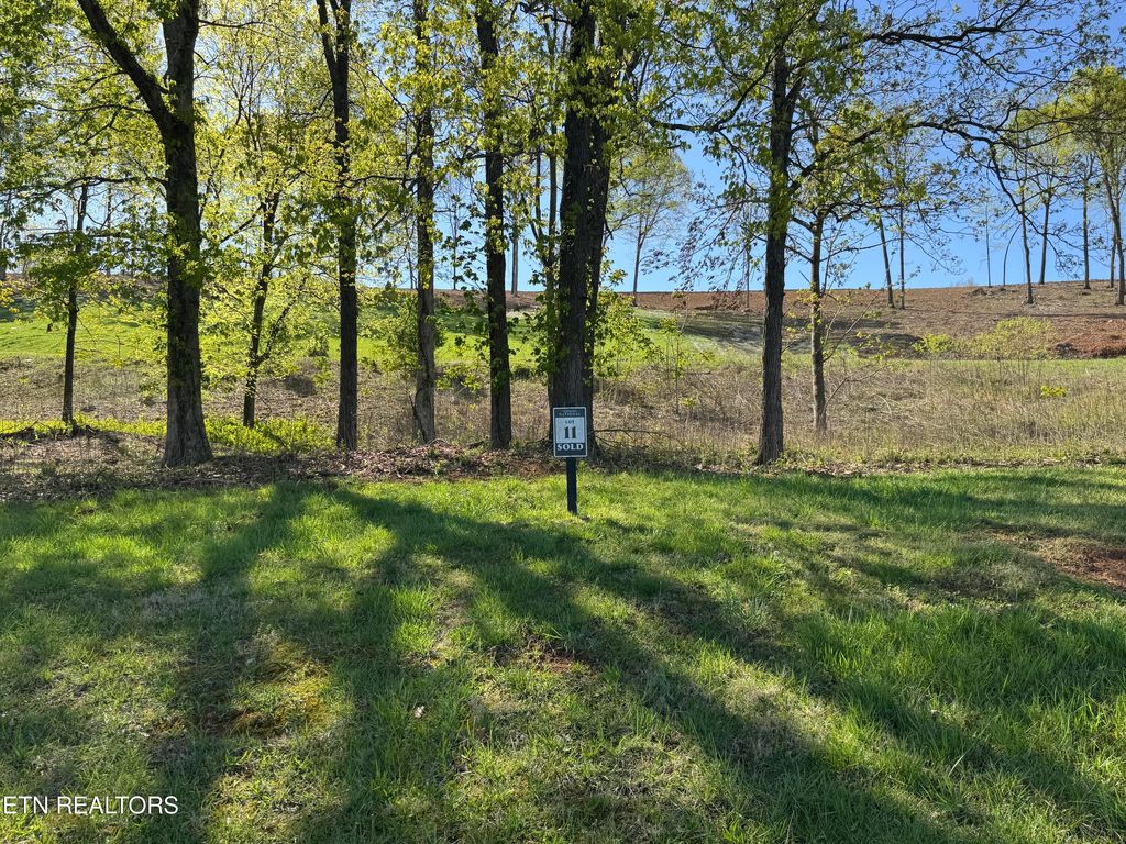 Photo of 1031 Black Cove Lane, Loudon, TN 37774 (MLS # 1299018)