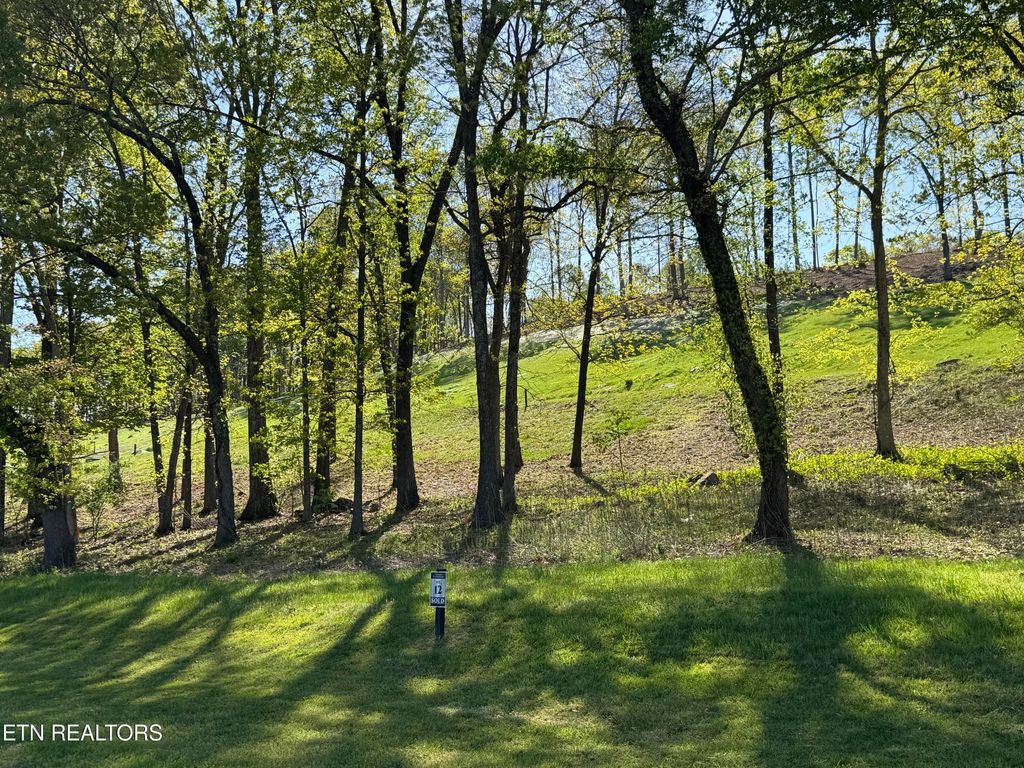 Photo of 1031 Black Cove Lane, Loudon, TN 37774 (MLS # 1299018)