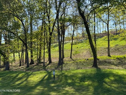 1031 Black Cove Lane Loudon TN 37774