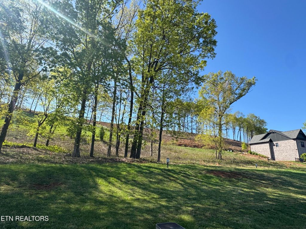 Photo of 1031 Black Cove Lane, Loudon, TN 37774 (MLS # 1299018)