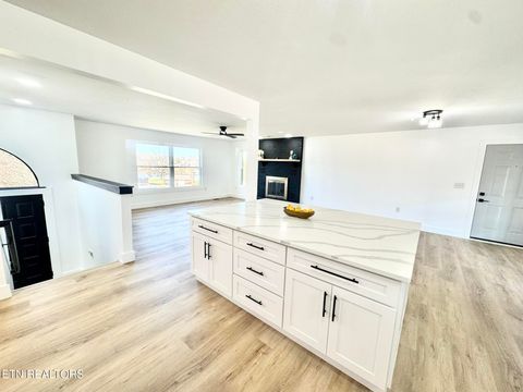 Tiny photo for 114 Happy Ending Lane, Kingston, TN 37763 (MLS # 1335492)