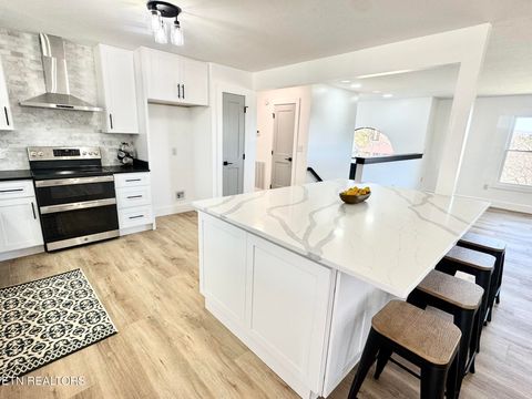 Tiny photo for 114 Happy Ending Lane, Kingston, TN 37763 (MLS # 1335492)