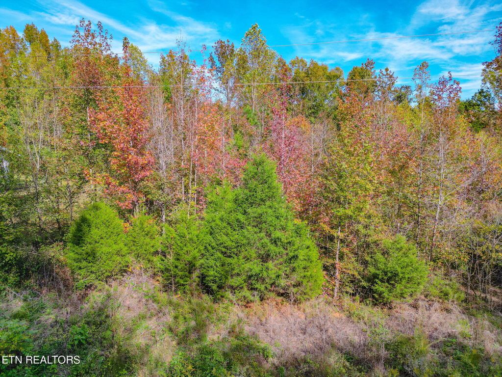 Photo of W Buttermilk Rd, Kingston, TN 37763 (MLS # 1319472)