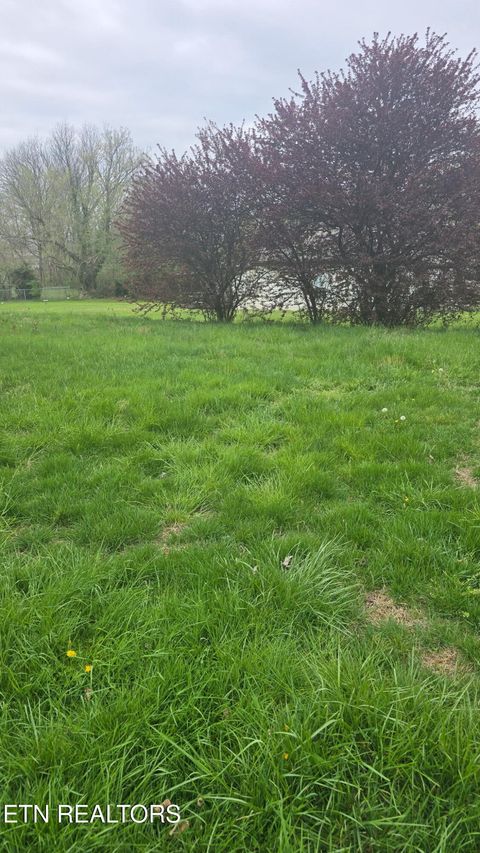 Tiny photo for 908 Crescent St, Morristown, TN 37813 (MLS # 1334640)