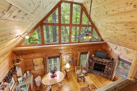 Tiny photo for 2457 N School House Gap Rd, Sevierville, TN 37876 (MLS # 1330181)