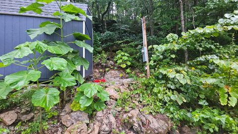 Tiny photo for 309 Marina Lane, LaFollette, TN 37766 (MLS # 1318615)