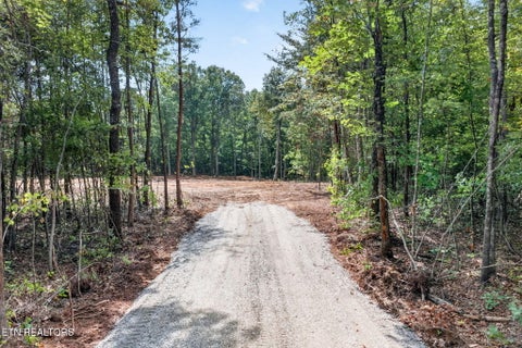 Tiny photo for 205 High Flats Rd, Monterey, TN 38574 (MLS # 1355607)