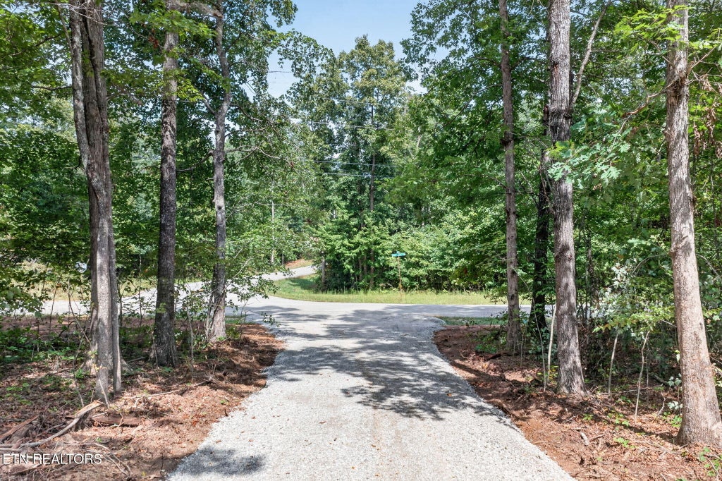 Photo of 205 High Flats Rd, Monterey, TN 38574 (MLS # 1355607)