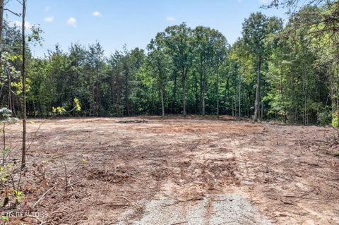Tiny photo for 205 High Flats Rd, Monterey, TN 38574 (MLS # 1355607)