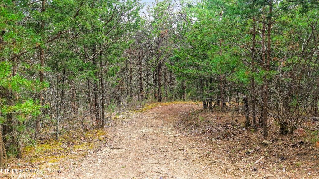 Photo of Windy Cove Way, Sevierville, TN 37876 (MLS # 1334420)