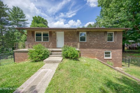 Photo of 4403 Mace Lane, Knoxville, TN 37938 (MLS # 1342899)