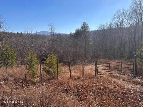 162.45ac Mill Creek Rd Sunbright TN 37872