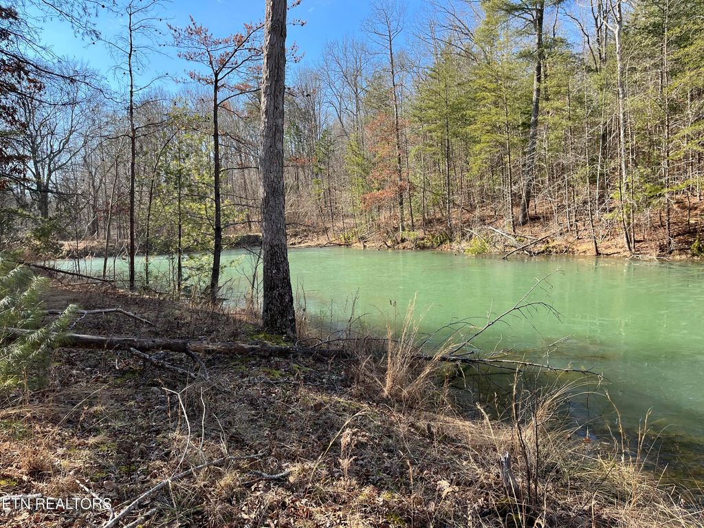Photo of 16245 Mill Creek Rd, Sunbright, TN 37872 (MLS # 1286509)