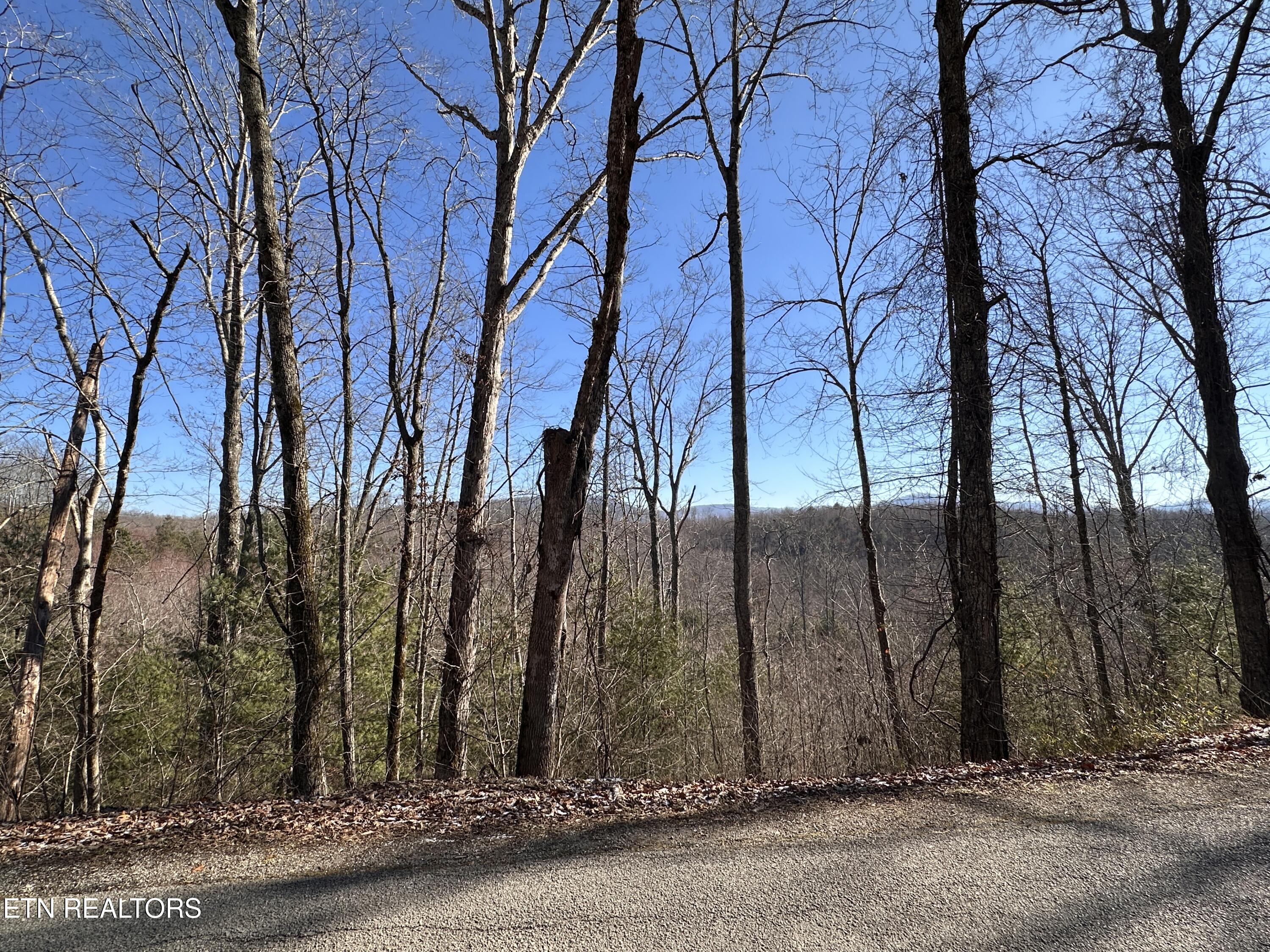 162.45ac Mill Creek Rd
