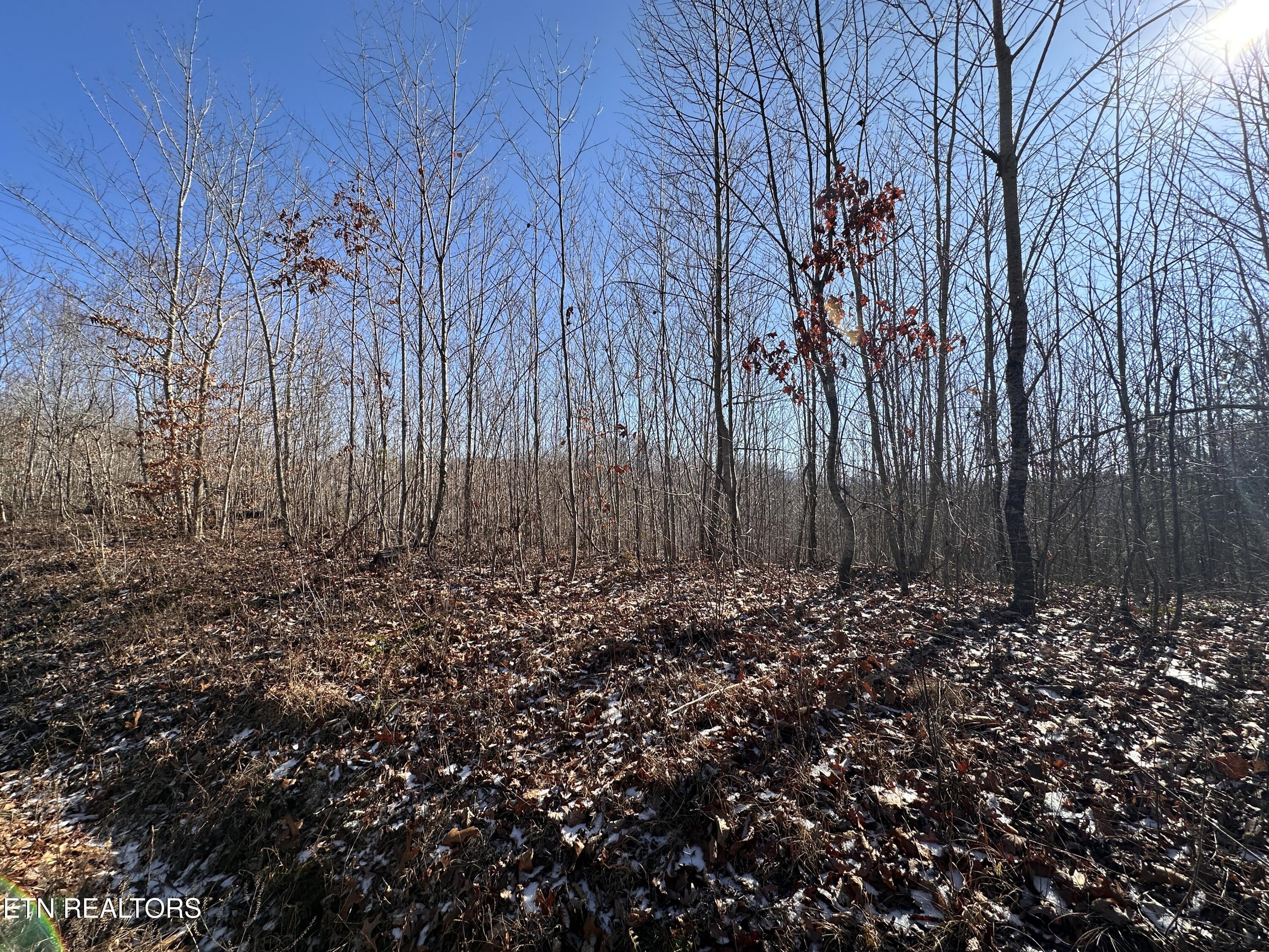 162.45ac Mill Creek Rd