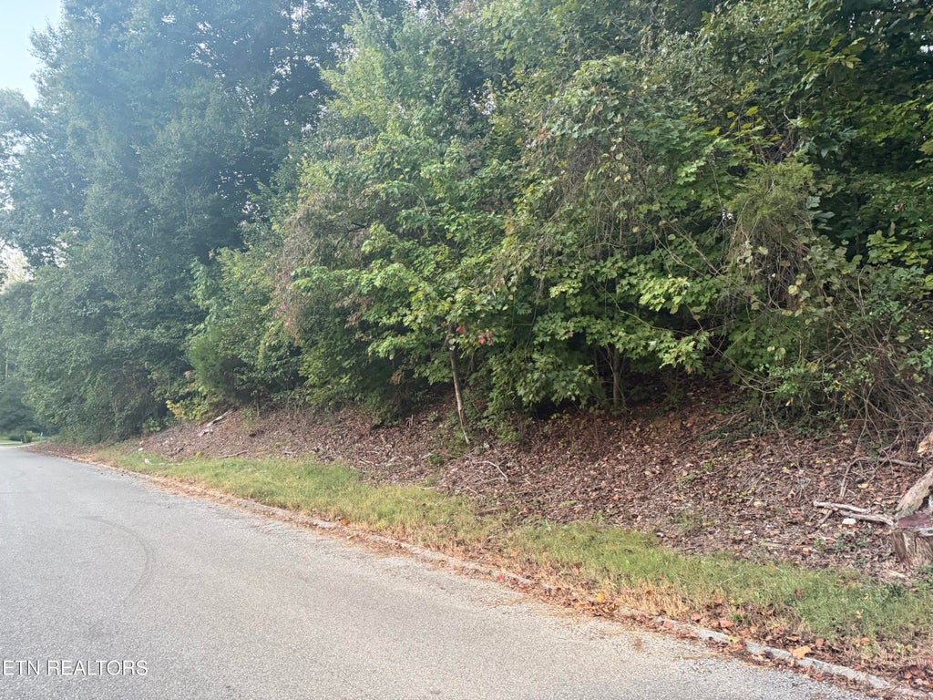 Photo of Indian Hills Circle, Clinton, TN 37716 (MLS # 1358173)