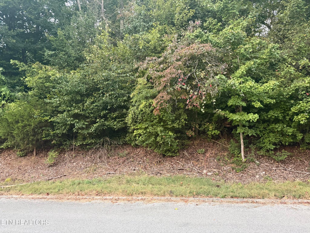 Photo of Indian Hills Circle, Clinton, TN 37716 (MLS # 1358173)