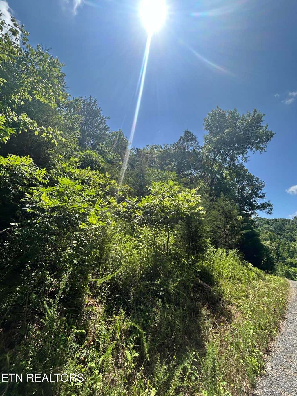 Photo of 713 Russell Brothers, Sharps Chapel, TN 37866 (MLS # 1348368)