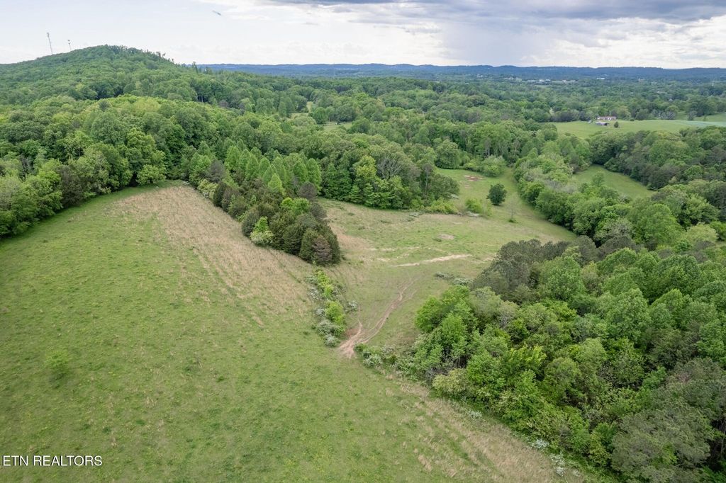 Photo of 1982 Highway 39E, Englewood, TN 37329 (MLS # 1302237)